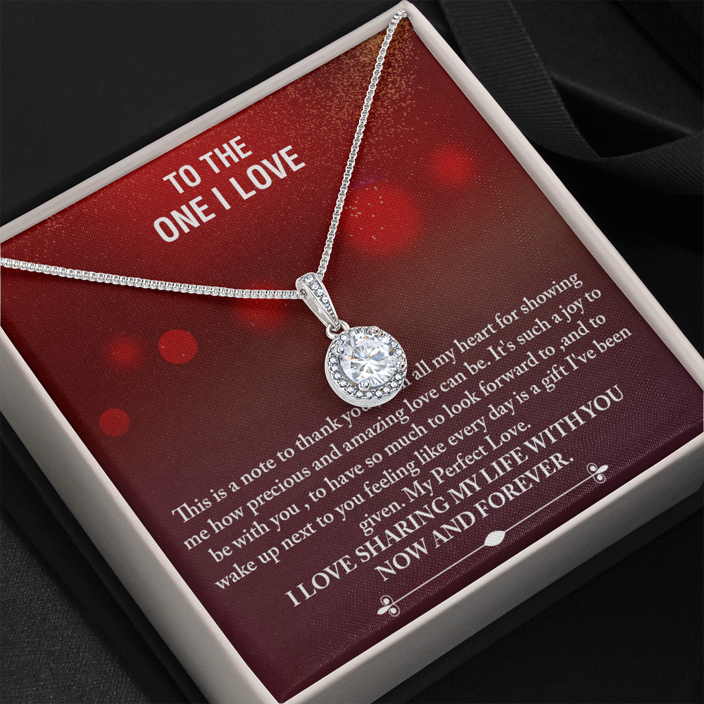 To The One I Love -I love Sharing My Life With You -Eternal Hope Necklace